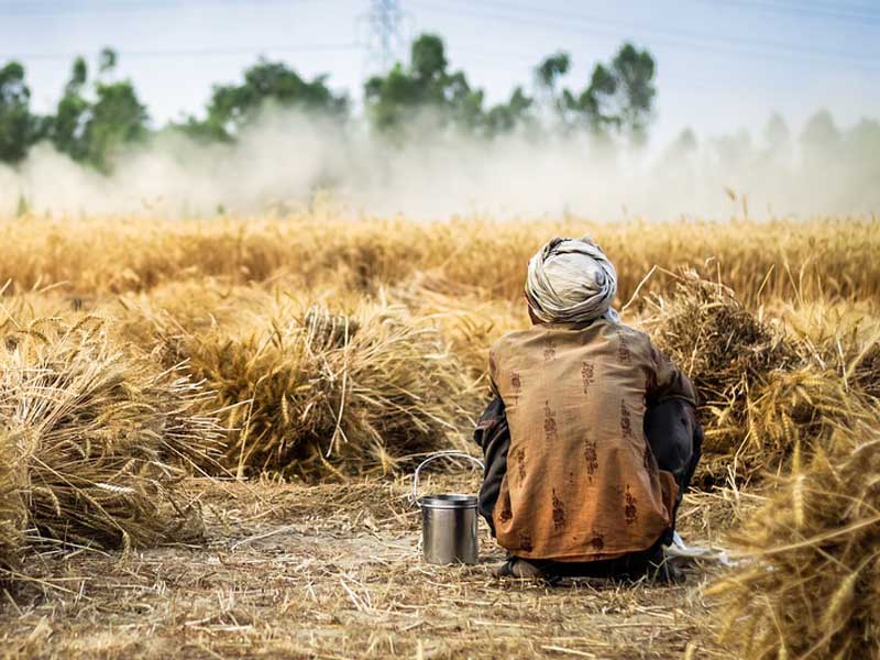 किसान की कहानियाँ